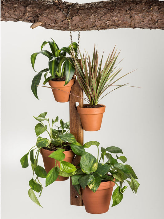 Acacia Wood Hanging Plant Holder – 4-Pot Indoor/Outdoor Display